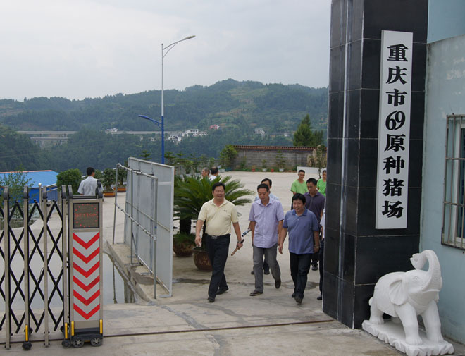 國(guó)家鄉(xiāng)村振興局副局長(zhǎng)、原黔江區(qū)委書(shū)記洪天云視察重慶69